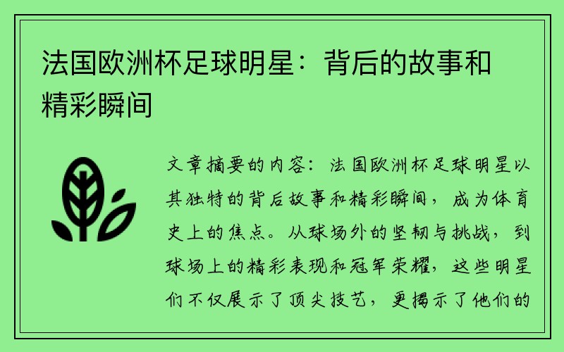 法国欧洲杯足球明星：背后的故事和精彩瞬间