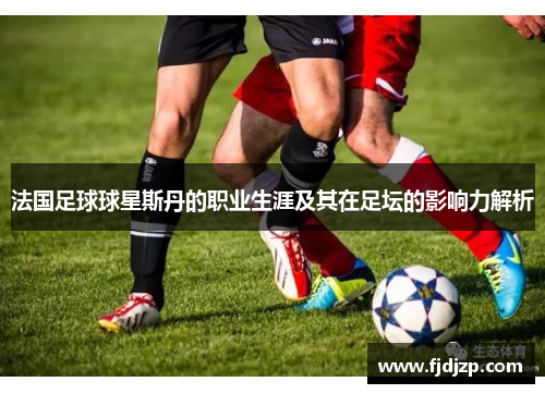 法国足球球星斯丹的职业生涯及其在足坛的影响力解析