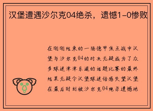 汉堡遭遇沙尔克04绝杀，遗憾1-0惨败