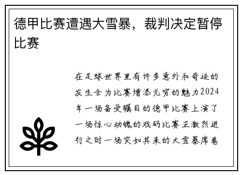 德甲比赛遭遇大雪暴，裁判决定暂停比赛